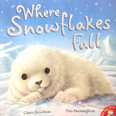 Where Snowflakes Fall