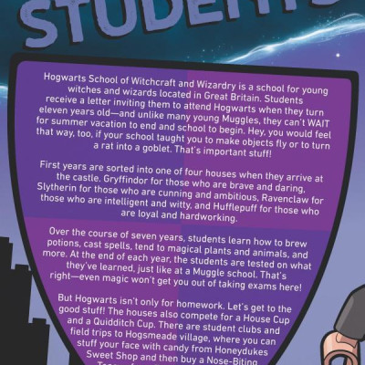 Witches and Wizards Character Handbook (LEGO Harry Potter) (LEGO Wizarding World of Harry Potter)