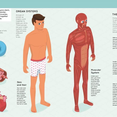 Lift The Flaps: Human Body - Sách lật mở: Cơ thể con người