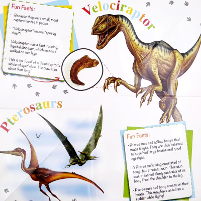 Wonder Of Learning - My Fold-Out Book Of Dinosaurs