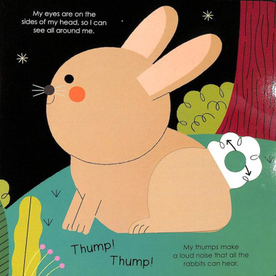 Rabbit (My Little Green World 5)