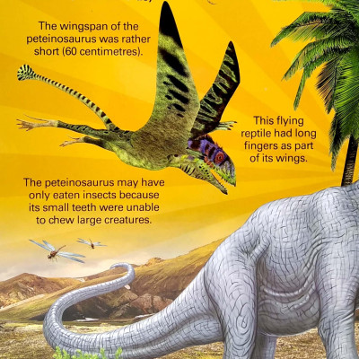 A Mega Sound Book: Roar! 10-Button Sound Book