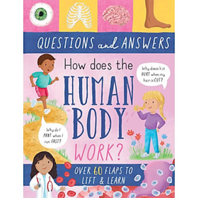 LARGE QUESTION-AND-ANSWER FLAP BOOK - HUMAN BODY