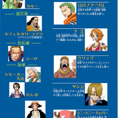 One Piece 19