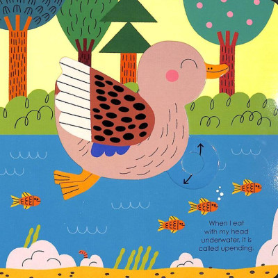 Duck (My Little Green World 6)