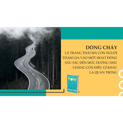 Sách Flow Dòng Chảy