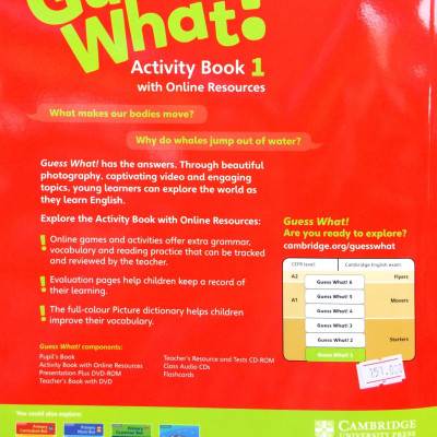 Guess What! Level 1 Activity Book with Online Resources British English