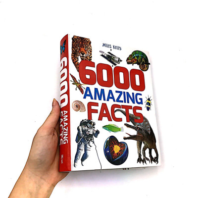 B384 6000 AMAZING FACTS