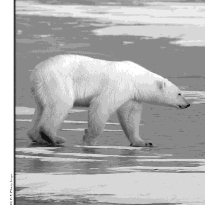 What Is Climate Change?