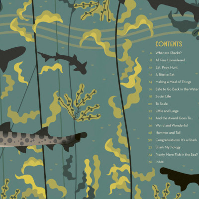 Sách tiếng Anh - Smart About Sharks