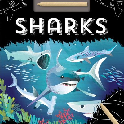 Sharks (Scratch Discover & Learn)