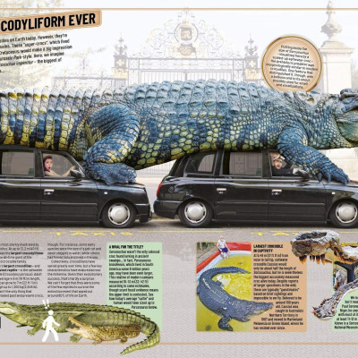 Guinness World Records 2020 (Hardback)