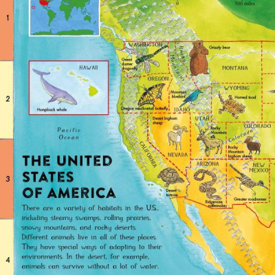 First Animal Picture Atlas