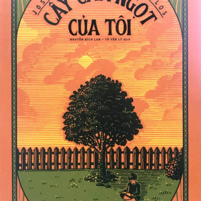 Cây Cam Ngọt Của Tôi