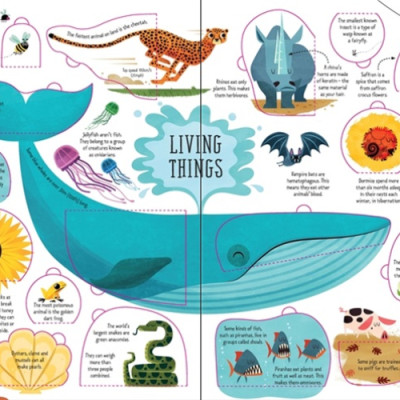 Sách tương tác tiếng Anh - Usborne Lift-the-flap General Knowledge