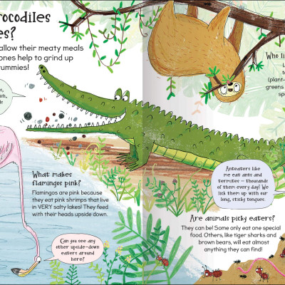 Curious Questions & Answers About Animals