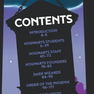 Witches and Wizards Character Handbook (LEGO Harry Potter) (LEGO Wizarding World of Harry Potter)