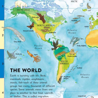 First Animal Picture Atlas