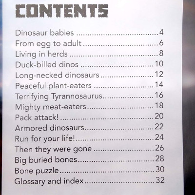 My Best Book Of Dinosaurs