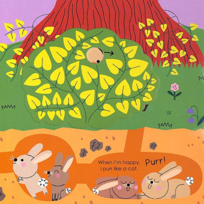 Rabbit (My Little Green World 5)