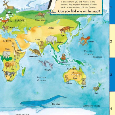 First Animal Picture Atlas