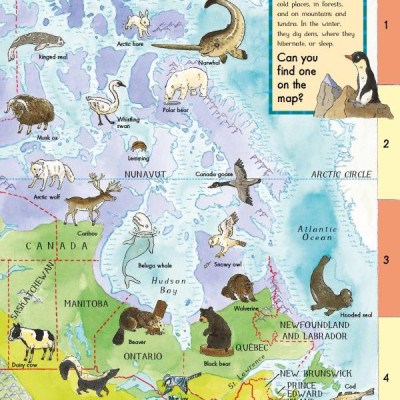 First Animal Picture Atlas