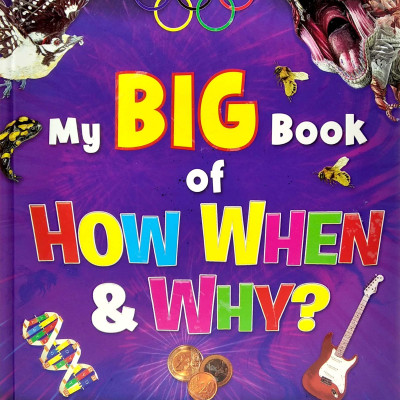 The Big Book Of How, When And Why?