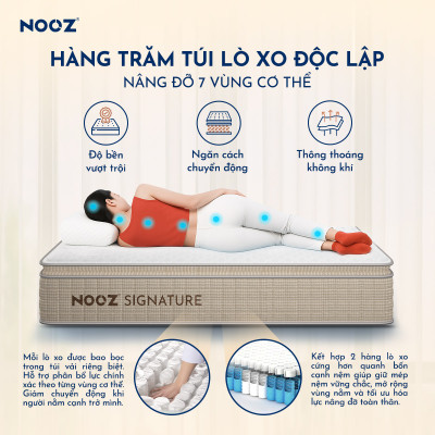 Nệm Foam NOOZ Signature Đệm Cao Su Thiên Nhiên Và Lò Xo Túi Nâng Đỡ 7 Vùng Cơ Thể NOOZ Home Goods