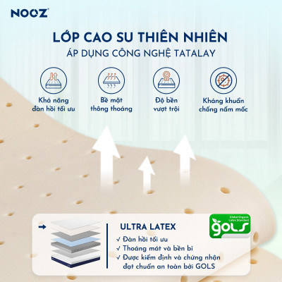 Nệm Foam NOOZ Comfy Gen 2 25cm Đệm Cao Su Thiên Nhiên Và Tầng Foam 7 Vùng Nâng Đỡ NOOZ Home Goods