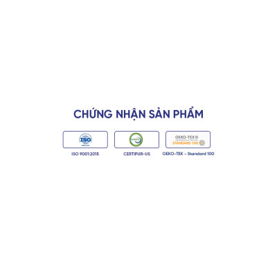 Nệm foam Goodnight Hachi ép cuộn, thoáng khí, nâng đỡ cơ thể, giữ cột sống ổn định