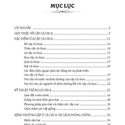 Nông Nghiệp Xanh Và Sạch - Trồng Cà Chua Sạch Quanh Năm