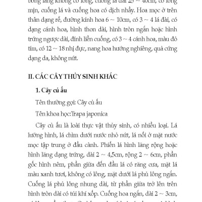 Nông Nghiệp Xanh, Sạch - Kỹ Thuật Trồng Cây Và Hoa Thuỷ Sinh (Tái bản)