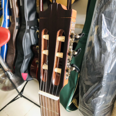 Đàn guitar classic Hồng đào solid DC250J Duy Guitar Store dòng ghitar âm thanh ấm áp cổ điển