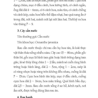 Nông Nghiệp Xanh, Sạch - Kỹ Thuật Trồng Cây Và Hoa Thuỷ Sinh (Tái bản)