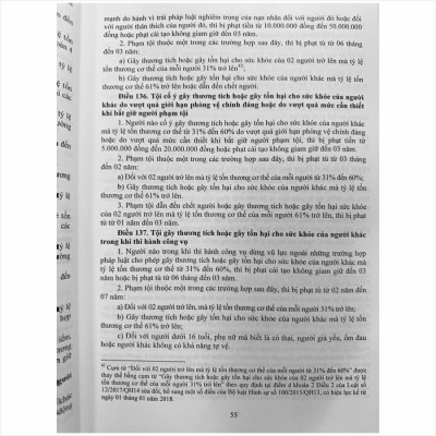 Bộ Luật Hình Sự Năm 2015 (Sửa Đổi Bổ Sung Năm 2017) - Bộ Luật Tố Tụng Hình Sự Năm 2015