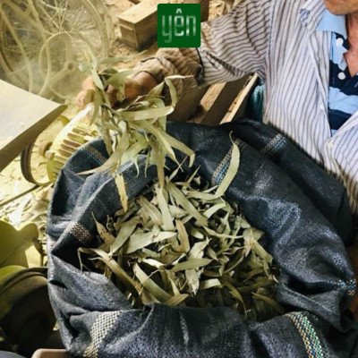 Nhang Nụ Thảo Mộc Mix Quế Khuynh Diệp Hương Bài Sạch Ít Khói Hộp 40 Nụ Yên Tự Nhiên Không Hóa Chất