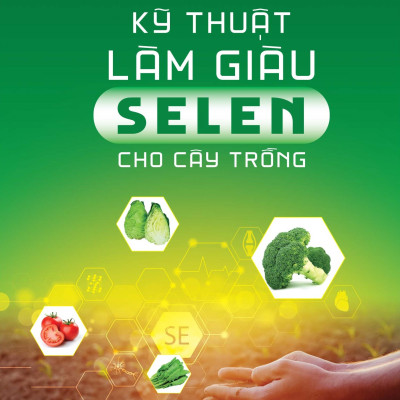 Kỹ Thuật Làm Giàu Selen Cho Cây Trồng