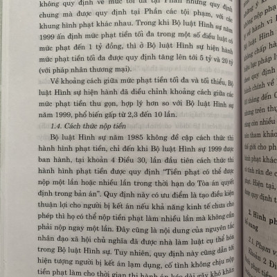 Hình Phạt Tiền Trong Pháp Luật Hình Sự Việt Nam Và Thực Tiễn Áp Dụng (Sách Chuyên Khảo)