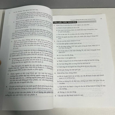 Sách - Câu Hỏi - Bài Tập - Trắc Nghiệm Kinh Tế Vi Mô (Trường ĐH Kinh Tế TP. Hồ Chí Minh)
