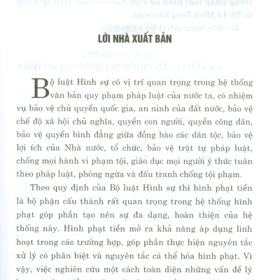 Hình Phạt Tiền Trong Pháp Luật Hình Sự Việt Nam Và Thực Tiễn Áp Dụng (Sách Chuyên Khảo)