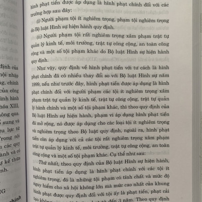 Hình Phạt Tiền Trong Pháp Luật Hình Sự Việt Nam Và Thực Tiễn Áp Dụng (Sách Chuyên Khảo)