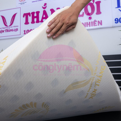 Nệm cao su TL Gold Latex phẳng Tundo 
