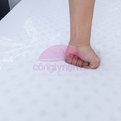 Nệm cao su TL Wonder foam phẳng Tundo 