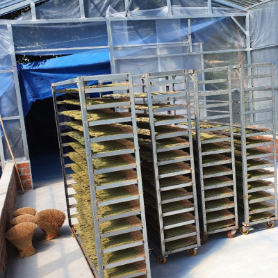 Nhang Khuynh Diệp Dương Minh 180cây nhang sạch 30cm 100% thành phần tự nhiên nhang thơm an toàn không hóa chất - nhang cây hương organic