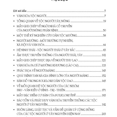 Tộc Người Và Văn Hóa Việt Nam (Tái bản 2025)