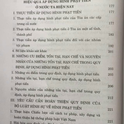 Sách - Hình phạt tiền trong pháp luật hình sự Việt Nam và thực tiễn áp dụng