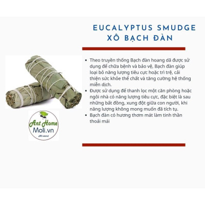 Combo THANH TẨY & BẢO VỆ gồm 2 thanh palo santo và 2 bó xô bảo vệ Bạch đàn (Eucalyptus smudge stick)