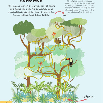 Sách - 70++ Trò Chơi Giúp Em Khám Phá Thế Giới - Mê Cung