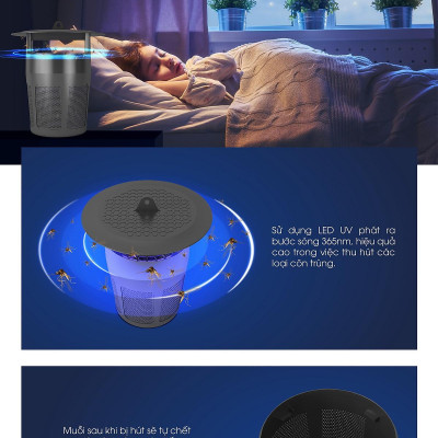Đèn bắt muỗi Rạng Đông DBM01 5W - Chính Hãng
