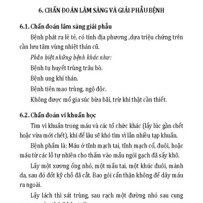 Nông Nghiệp Xanh, Sạch - Một Số Bệnh Thường Gặp Ở Trâu Bò Và Biện Pháp Khắc Phục